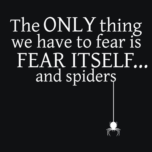 the-only-thing-we-have-to-fear-is-fear-itself-and-spiders.jpg